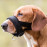 Мек намордник за кучета Trixie Muzzle Loop с регулируема обиколка